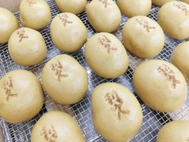 2019年1月 技術コーススクーリング