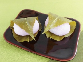 2018年度体験入学⑤