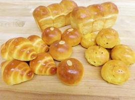 2019年9月 技術ｺｰｽｽｸｰﾘﾝｸﾞ